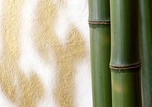 全室DAM完備で快適！ビッグエコーのカラオケ体験と店舗情報のご案内